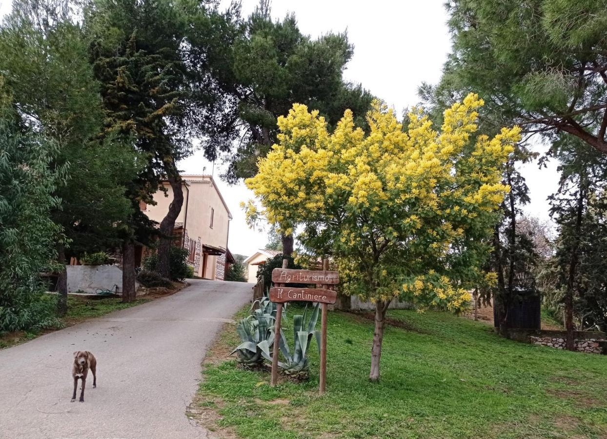 Agriturismo Il Cantiniere グロッセート エクステリア 写真