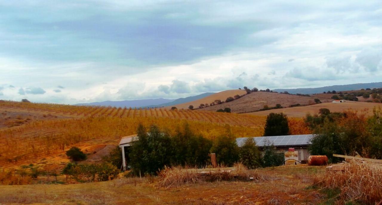 Agriturismo Il Cantiniere グロッセート エクステリア 写真