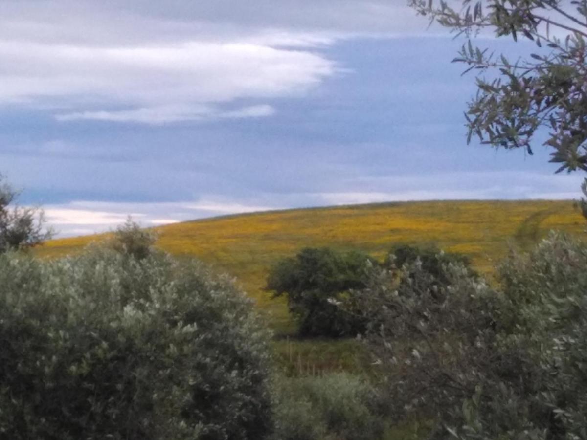 Agriturismo Il Cantiniere グロッセート エクステリア 写真